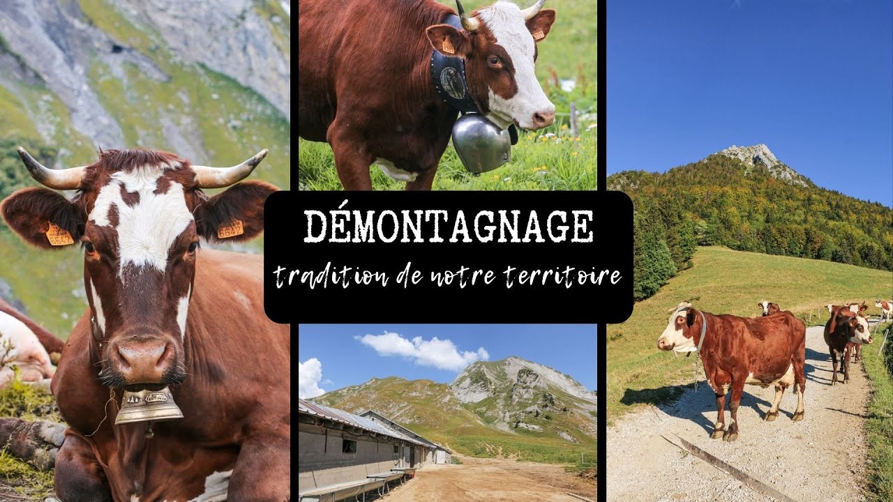 Démontagnage : une tradition de notre territoire