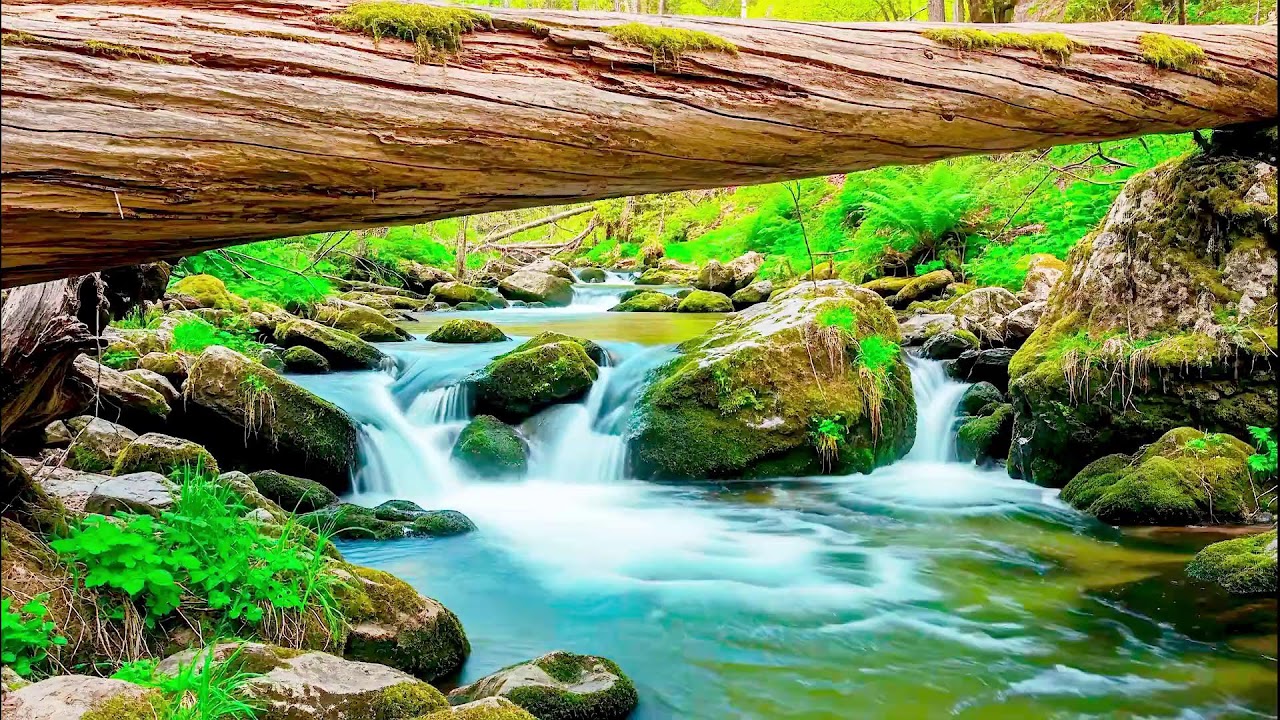 Gentle River Sound for Deep Sleep | Soothing Audio Therapy for Mental Wellness