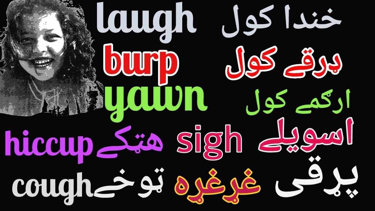 body sounds names in English to Pashto// @theulenglish   @englishtopashtolearning549   @wumnum