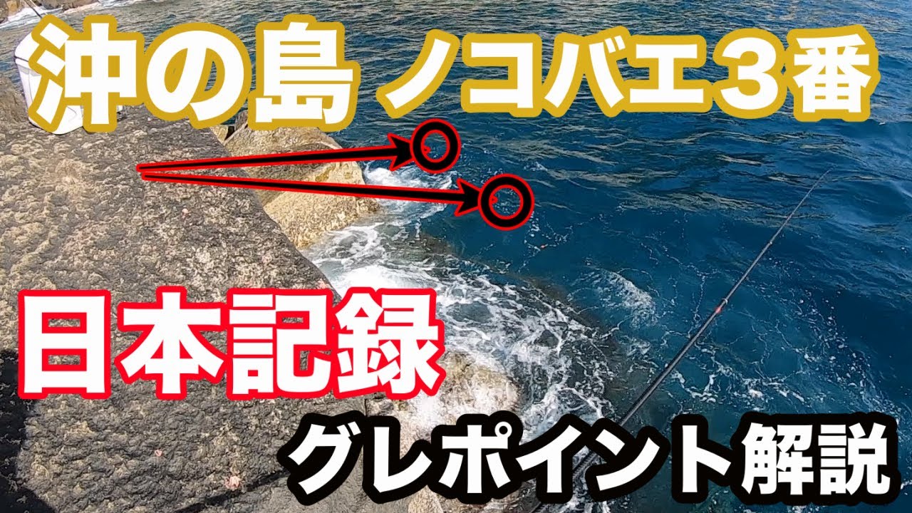 沖の島ノコバエ３番ポイント解説(磯釣り)(グレ)