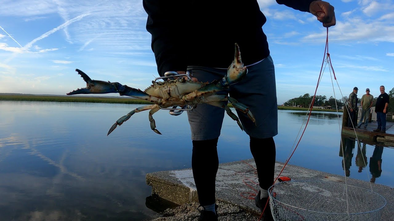 Catching Blue Crabs Off Boat Ramp Using 2 Ring Crab Nets And Chicken On A String!  North Florida!!!