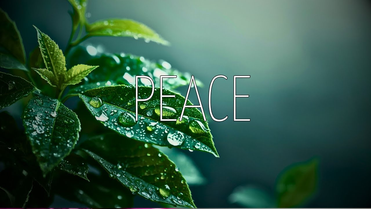 Calm Solo Guitar Music | Deep Sleep, Stress Relief & Concentration Background