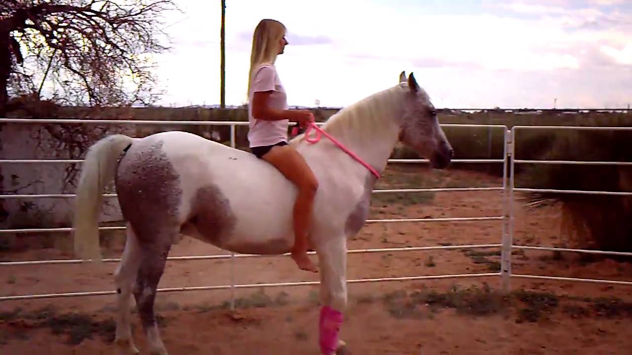 Riding Tehya bareback and without a bridle