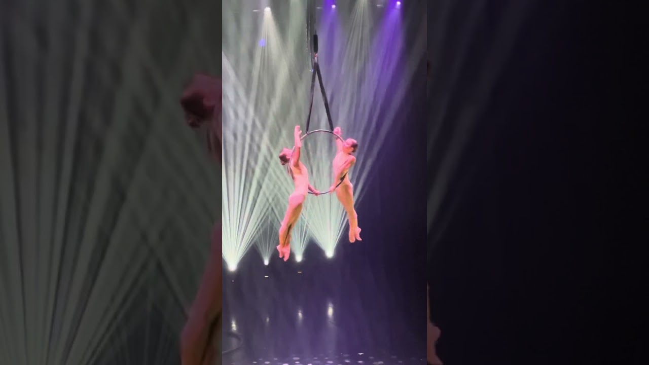 Aerial duo hoop by “LiliAna”