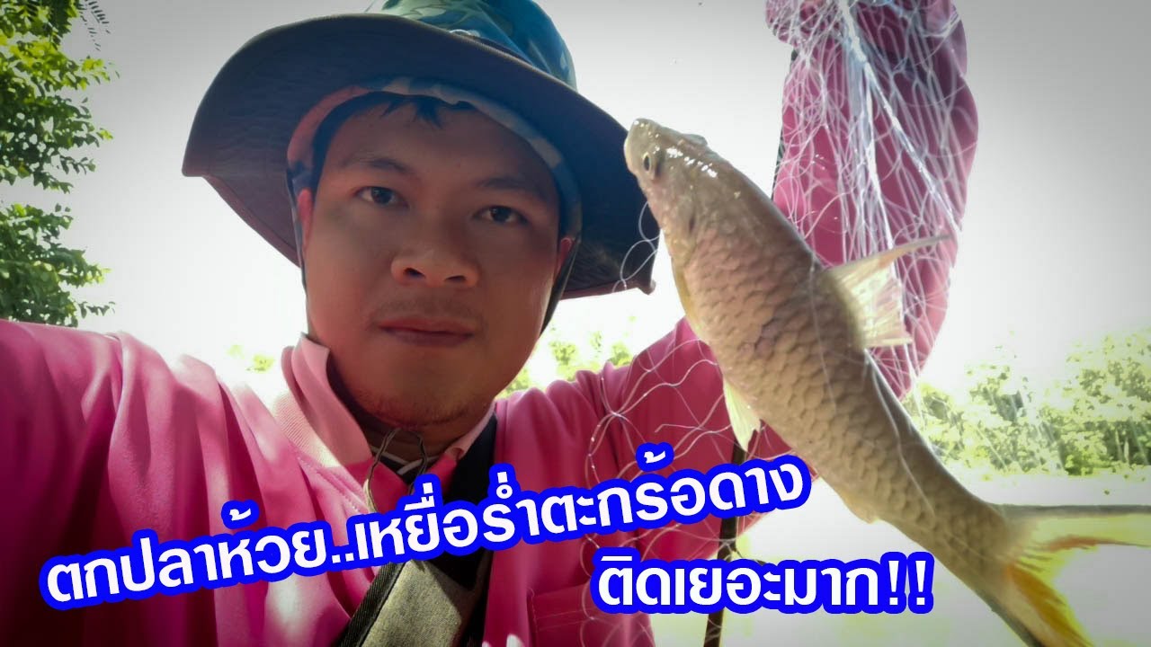 ตกปลาห้วย..เหยื่อรำ ตะกร้อดาง ติดเยอะมาก!!