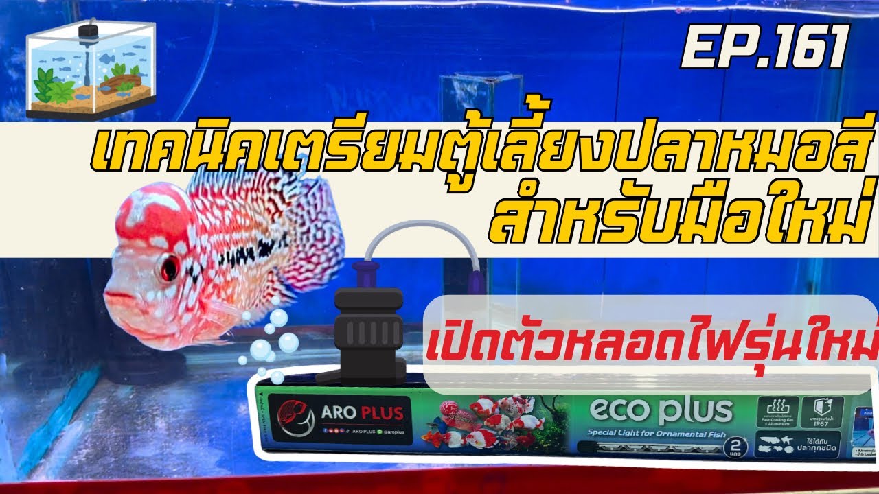 EP.161 เทคนิคเตรียมตู้สำหรับเลี้ยงปลาหมอสี(สำหรับมือใหม่) แถมเปิดตัวหลอดไฟรุ่นใหม่