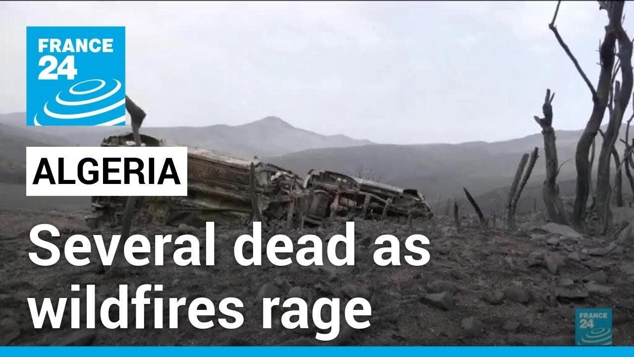 Algeria counts costs after deadly wildfires &bull; FRANCE 24 English