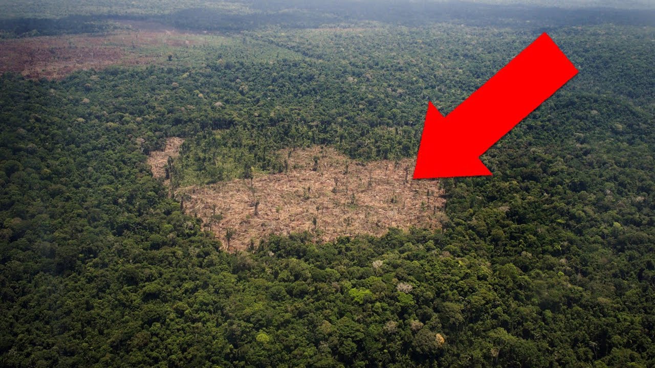 Утраченные изобретения древних: 5 высокотехнологичных открытий, опередивших свое время