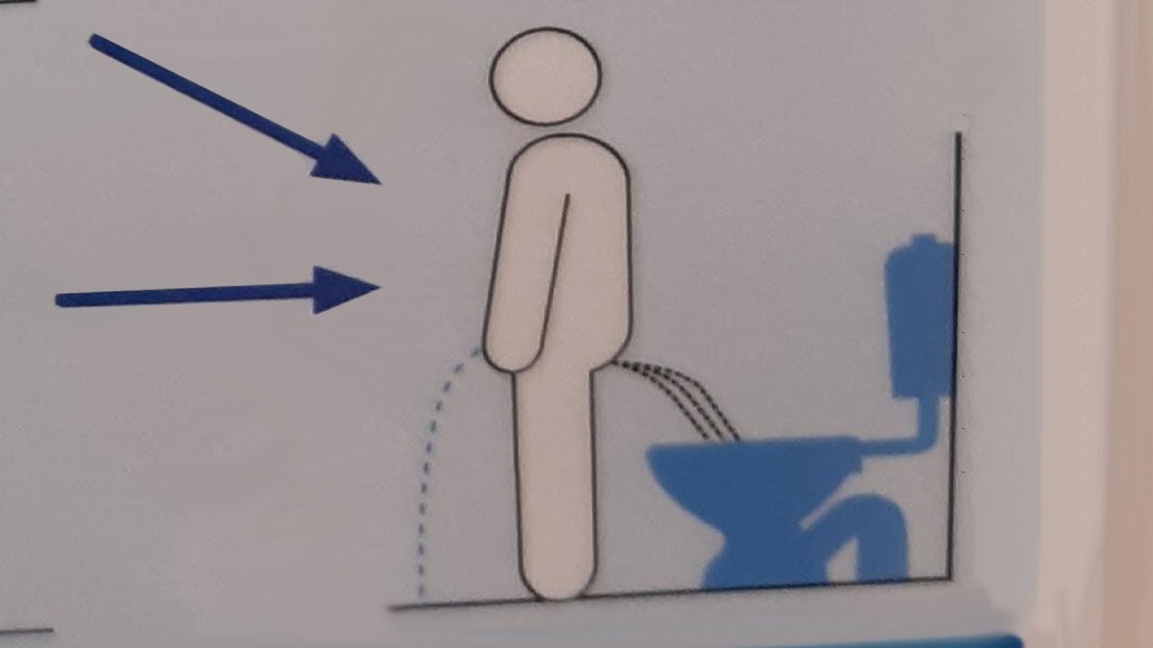 r/Cr*ppydesign Please Aim Carefully