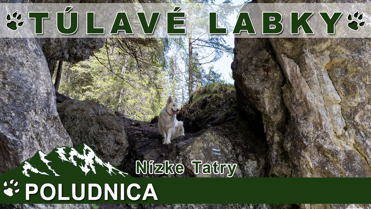 Túlavé labky: POLUDNICA - nádherná divočina Nízkych Tatier
