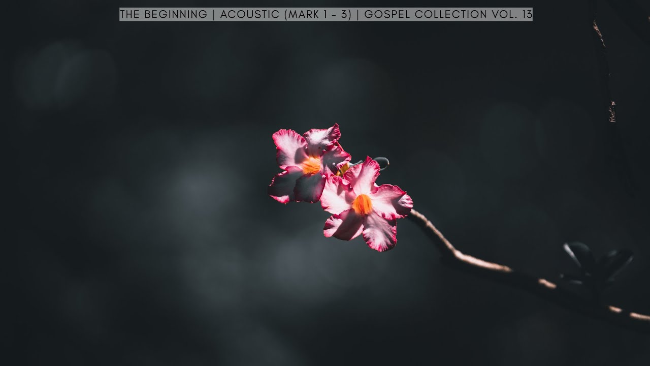 The Beginning | Acoustic (Mark 1 - 3) | Gospel Collection vol. 13