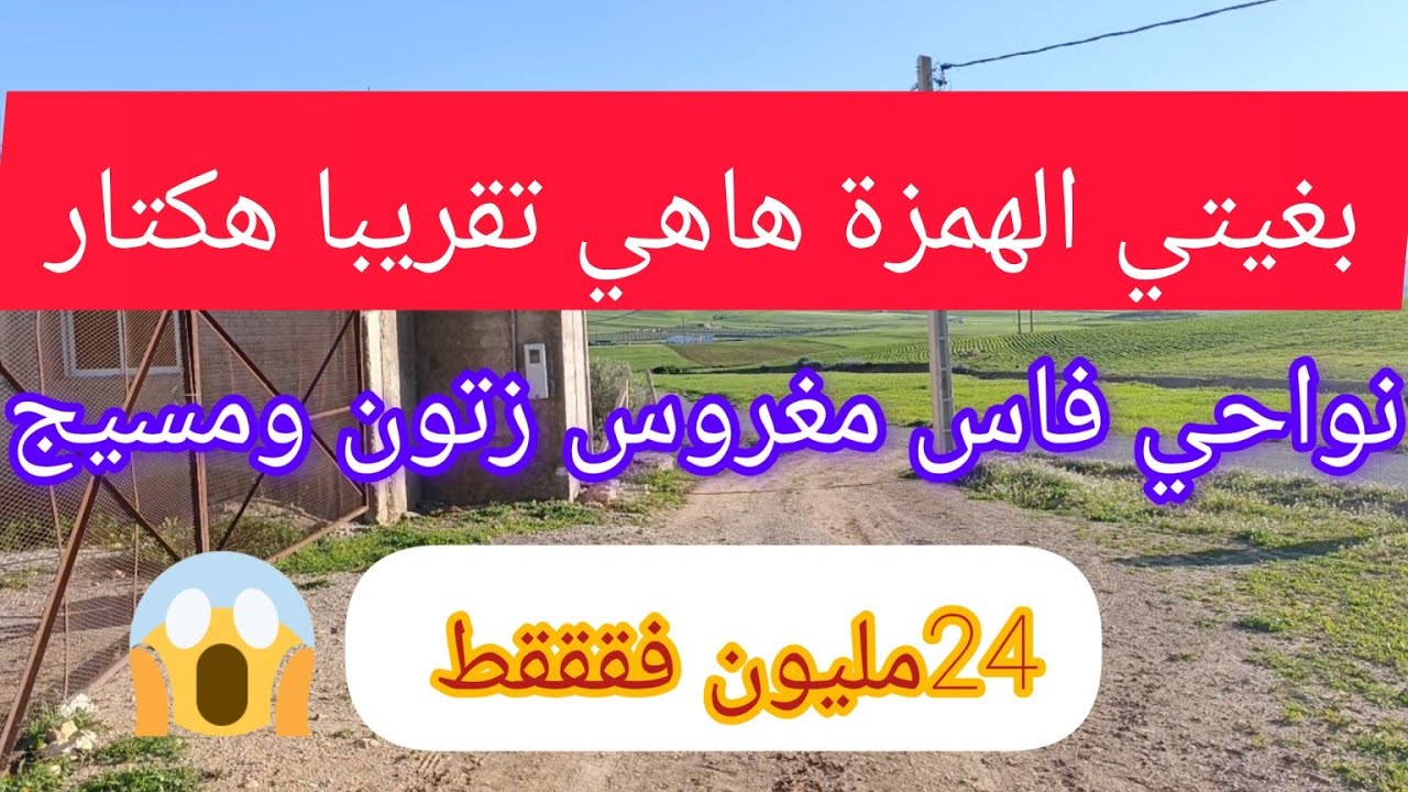 تقريبا هكتار مسيج وعلى طريق مغروس بالزيتون 24مليون فقط 😱@عقارات الشيخ@عقارات علي