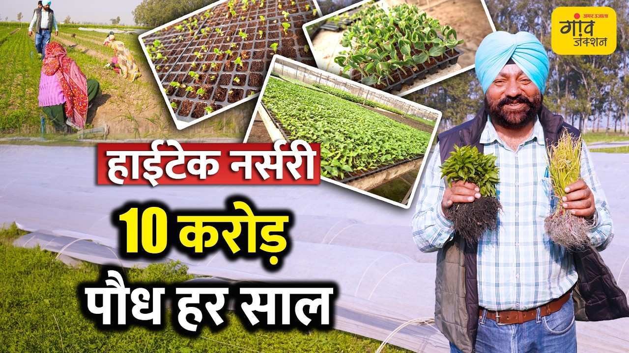 पॉलीथिन नहीं, खास कपड़े में उगती है पौध! यहां की सब्जियों की पौध का इटली तक निर्यात | Gaon Junction