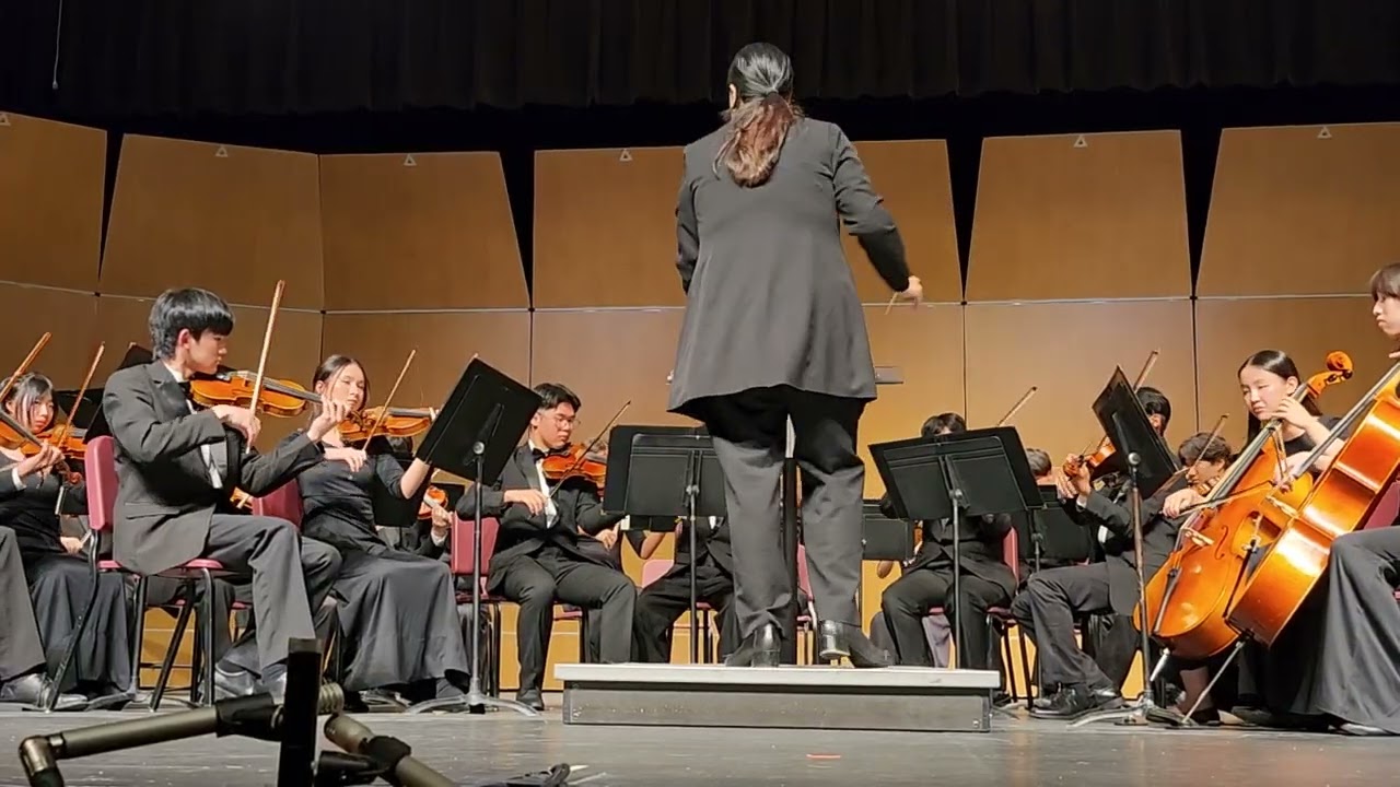 Hamilton High Chamber Orchestra - Molly on the Shore - Percy Grainger
