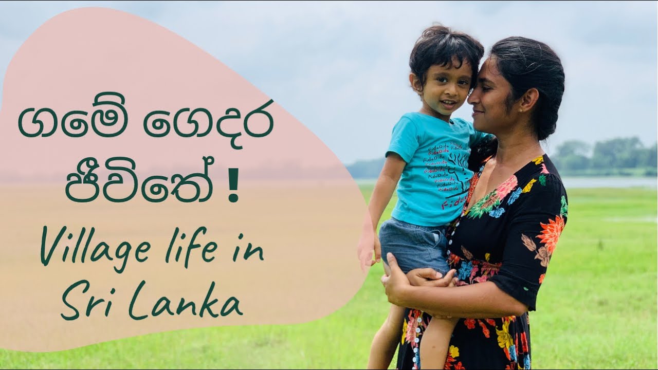 Where I was born | Village life in Sri Lanka| Anuradhapura