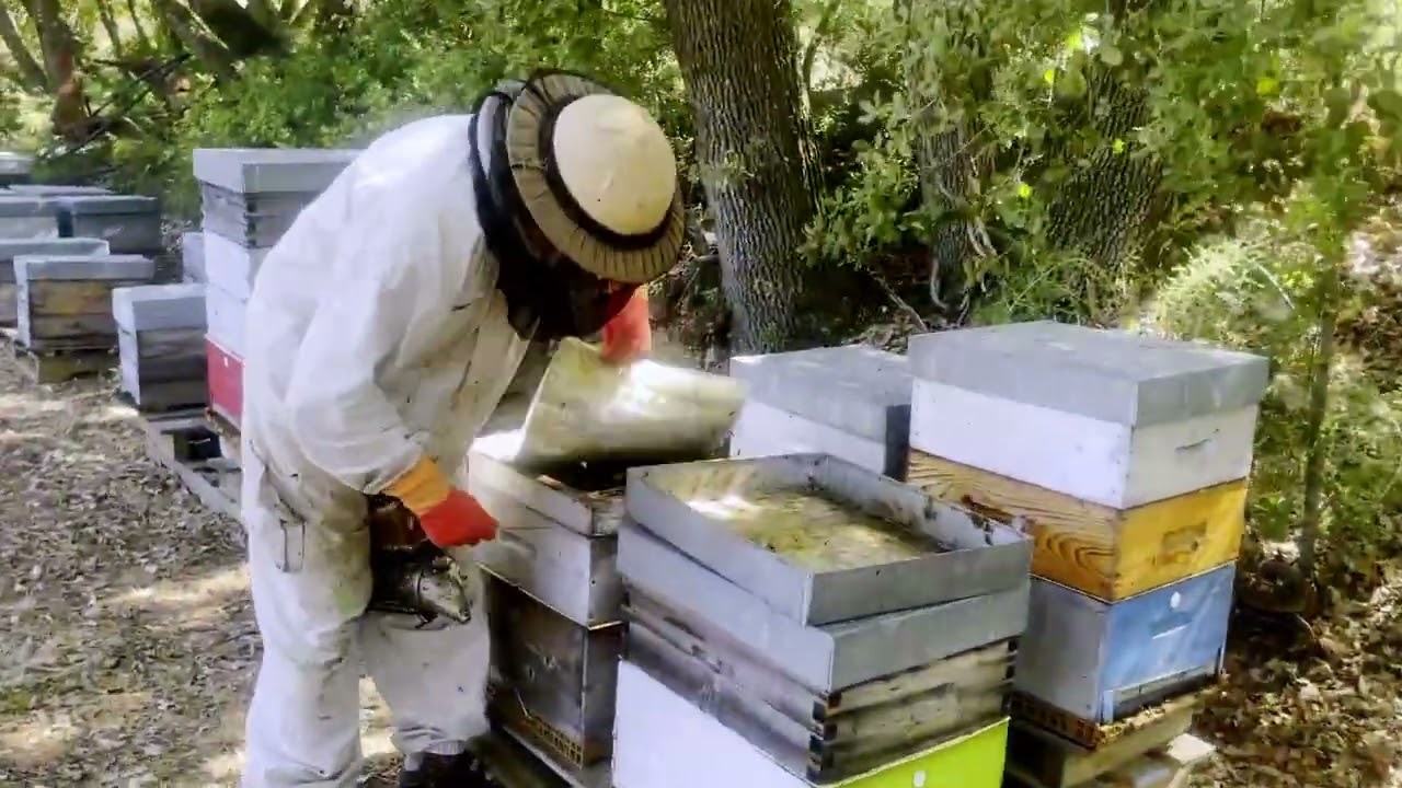 Hózhó Farming - Beekeeping - Navajo France Production