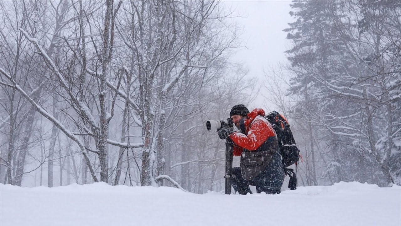 Winter Photography - Terrible Conditions Perfect for Expressive Landscapes | Hokkaido, Japan