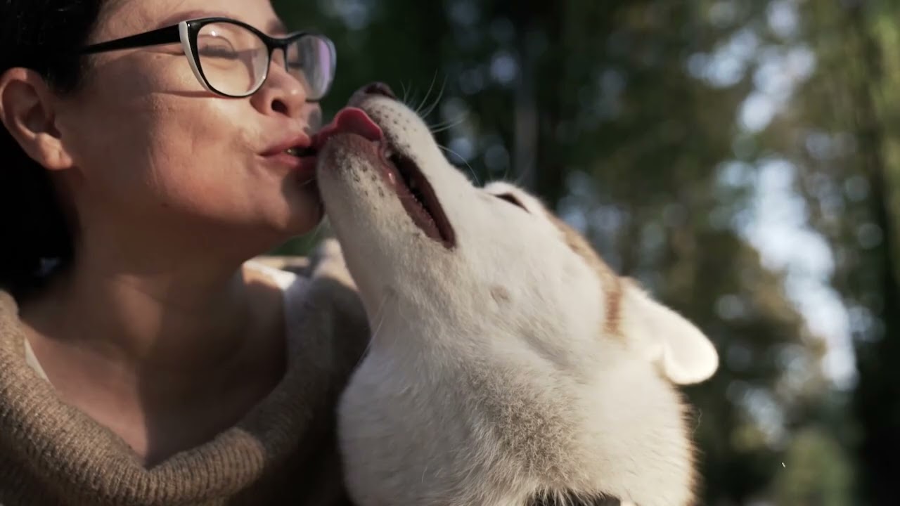 Healing Music for Dogs to Relieve Separation Anxiety│Puppy Calm Lab