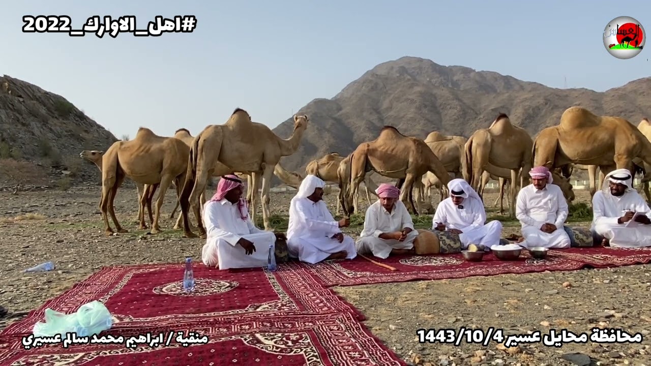 منقية / ابراهيم محمد سالم عسيري