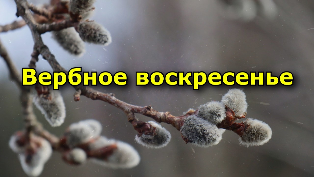 Вербное воскресенье. Что можно и нельзя делать.