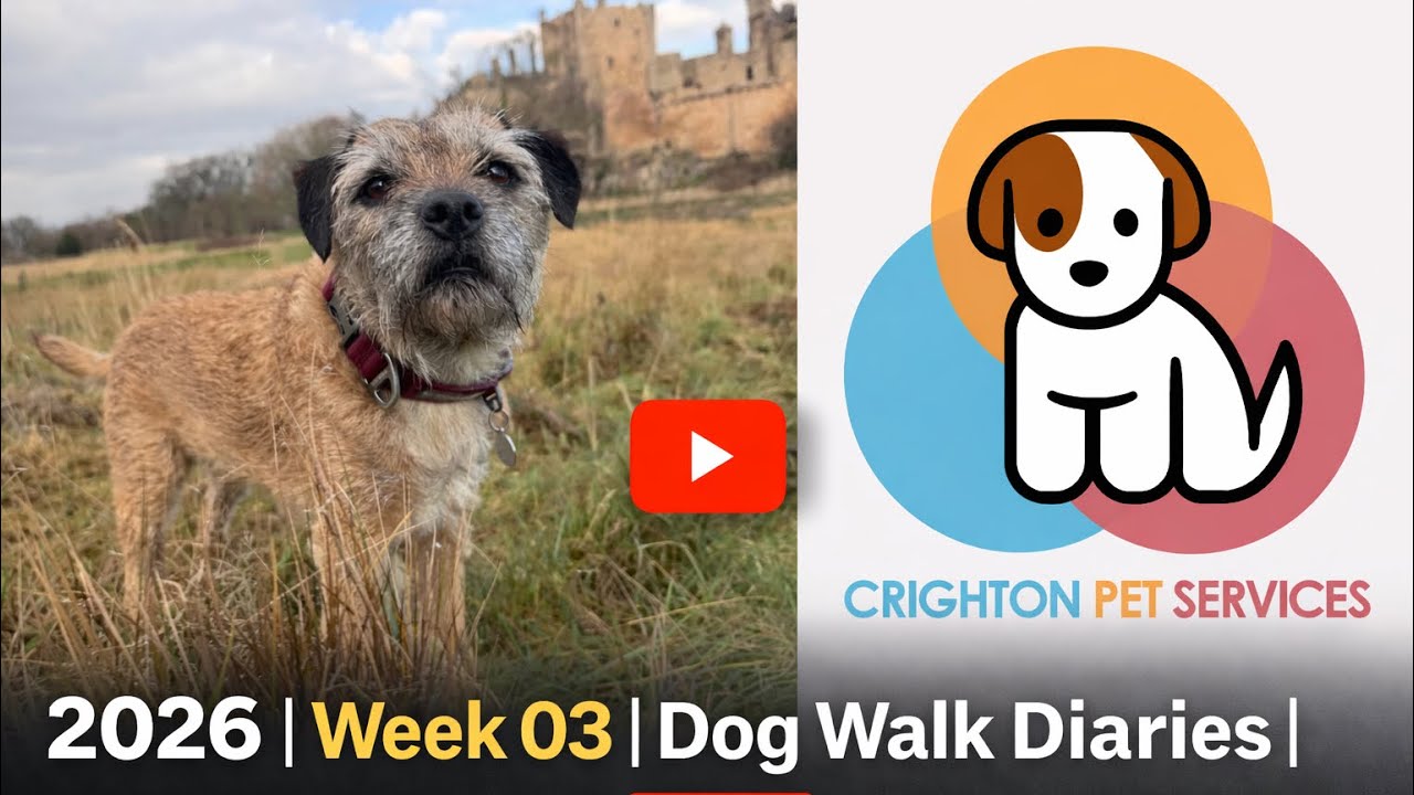 2026 | Week 03 | Dog Walk Diaries | 