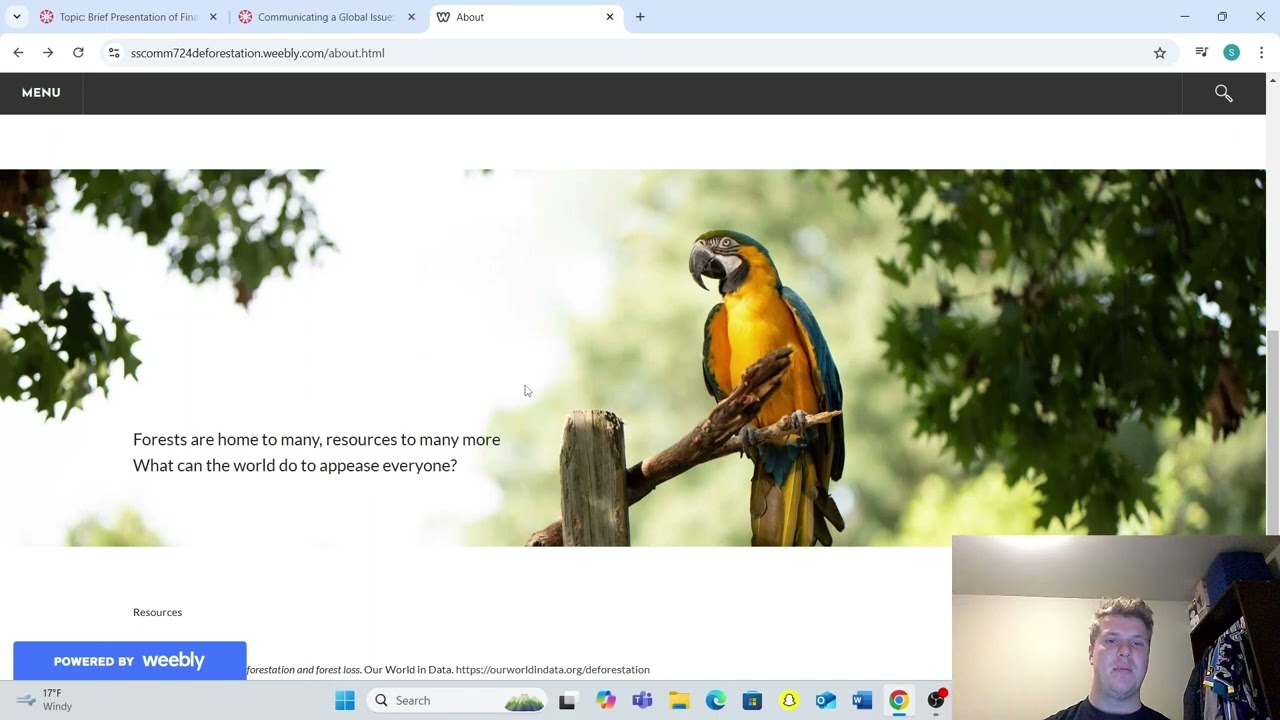 Deforestation MM Website Presentation