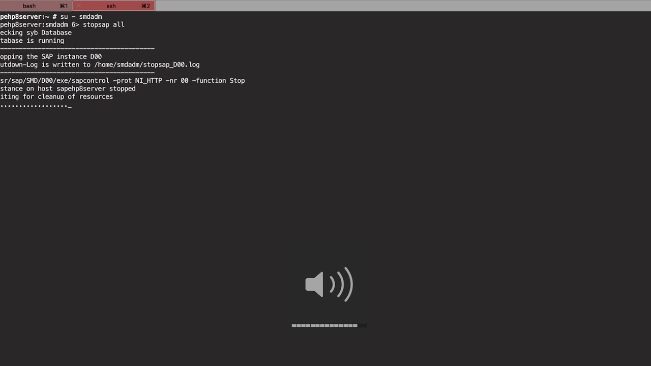 How to start stop SAP on Linux