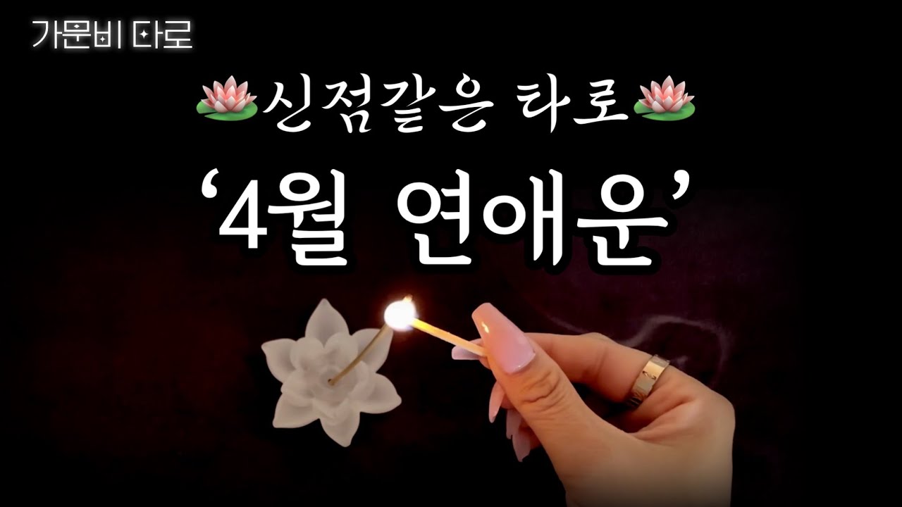 4월 연애운 🪷신점같은  타로점🪷