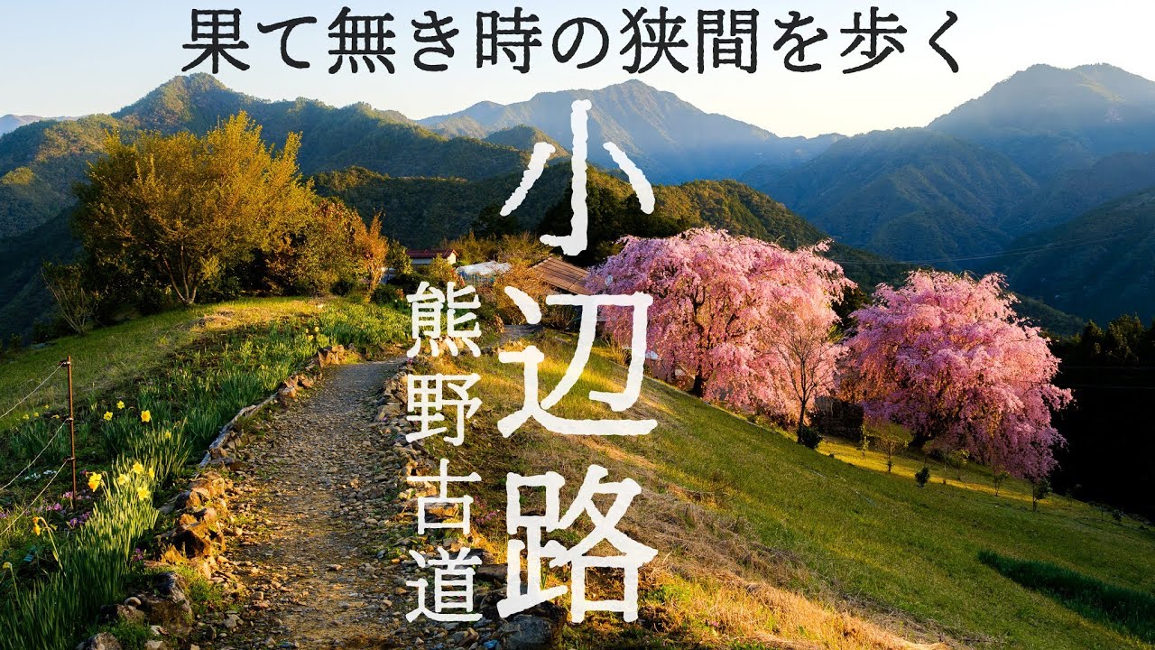 【熊野古道】2泊3日70km。嵐の最高峰を越えて果て無き古道を歩く｜小辺路