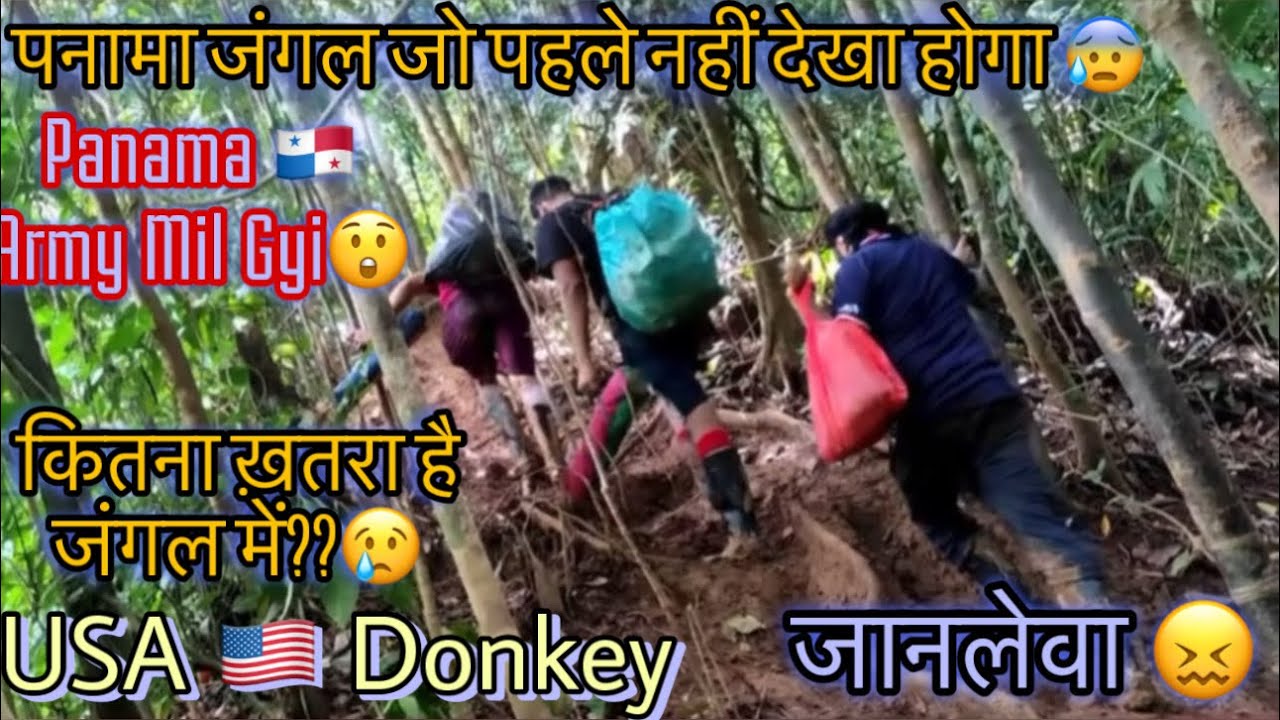 USA 🇺🇸Donkey Panama 🇵🇦 Jungle | Full Details Video | बहुत ख़ौफ़नाक India 🇮🇳 To USA 🇺🇸 Donkey
