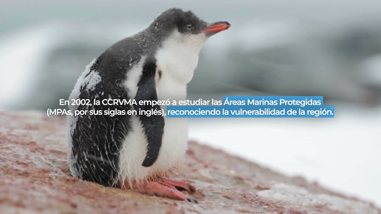 Es el último océano alterado por el hombre y el primero que deberíamos proteger