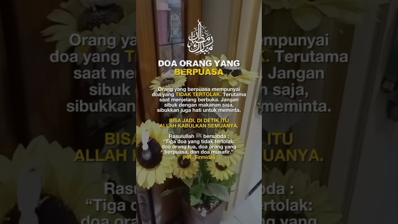 Do'a Orang berpuasa#puasa #puasaramadhan #viral #islam #gouldamadine #burung #finch #fypシ #shorts