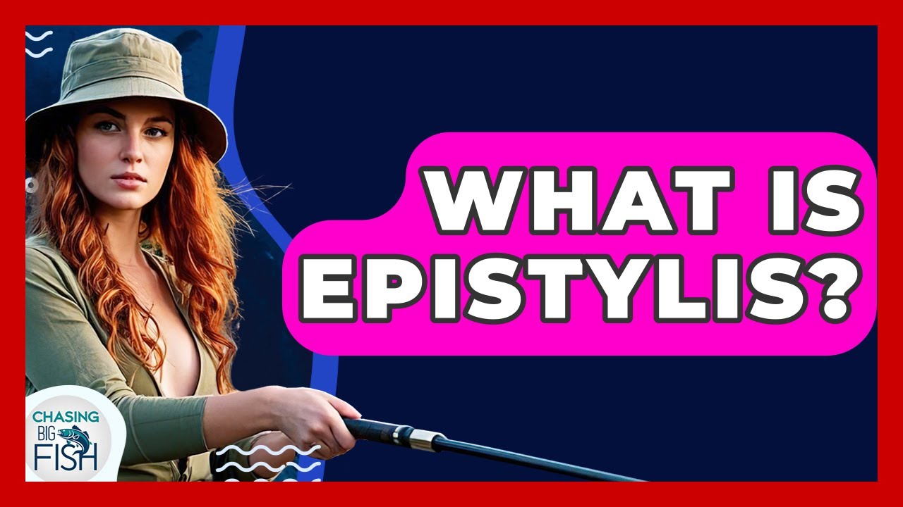 What Is Epistylis? - Chasing Big Fish