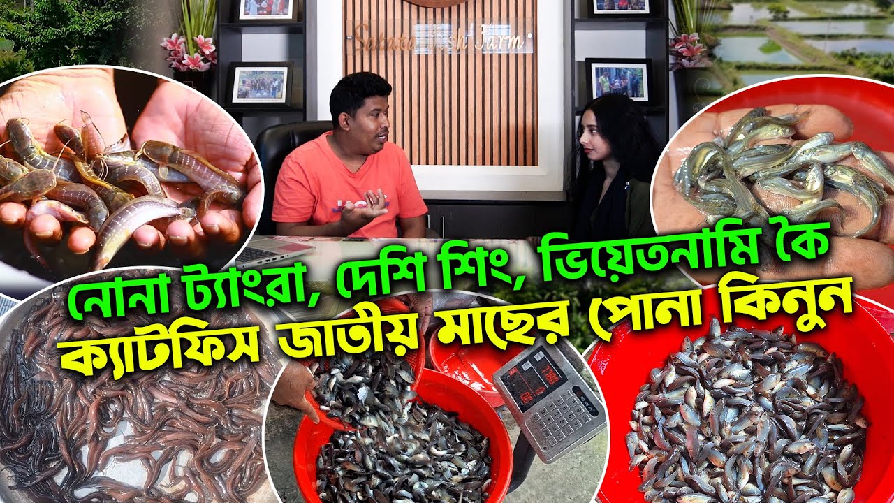 Satata Fish Farm Interview By Tabassum About Catfish || Fish Farm Vlogs 2025