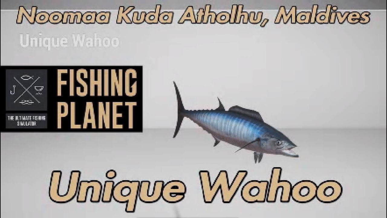 Уникальный путеводитель по рыболовной планете Wahoo Noomaa Kuda Atholhu Maldives