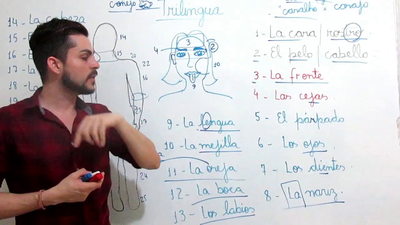 Las partes del cuerpo/ As partes do corpo.- em Português/ En Portugués. Curso de espanhol completo.
