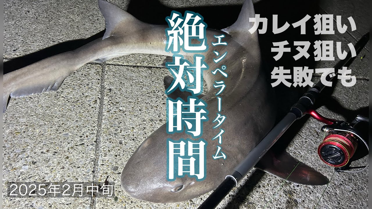 ［東扇島西公園］厳しい釣況とタモを破壊した魚