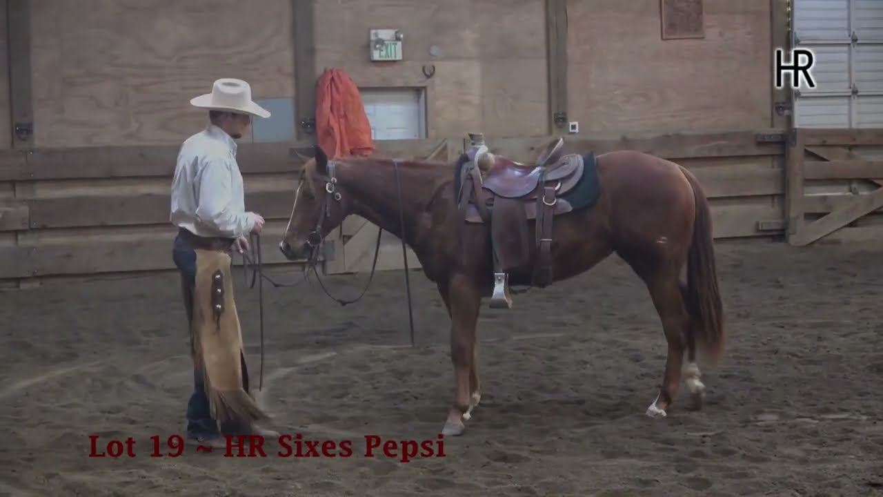 Lot 19 ~ HR Sixes Pepsi