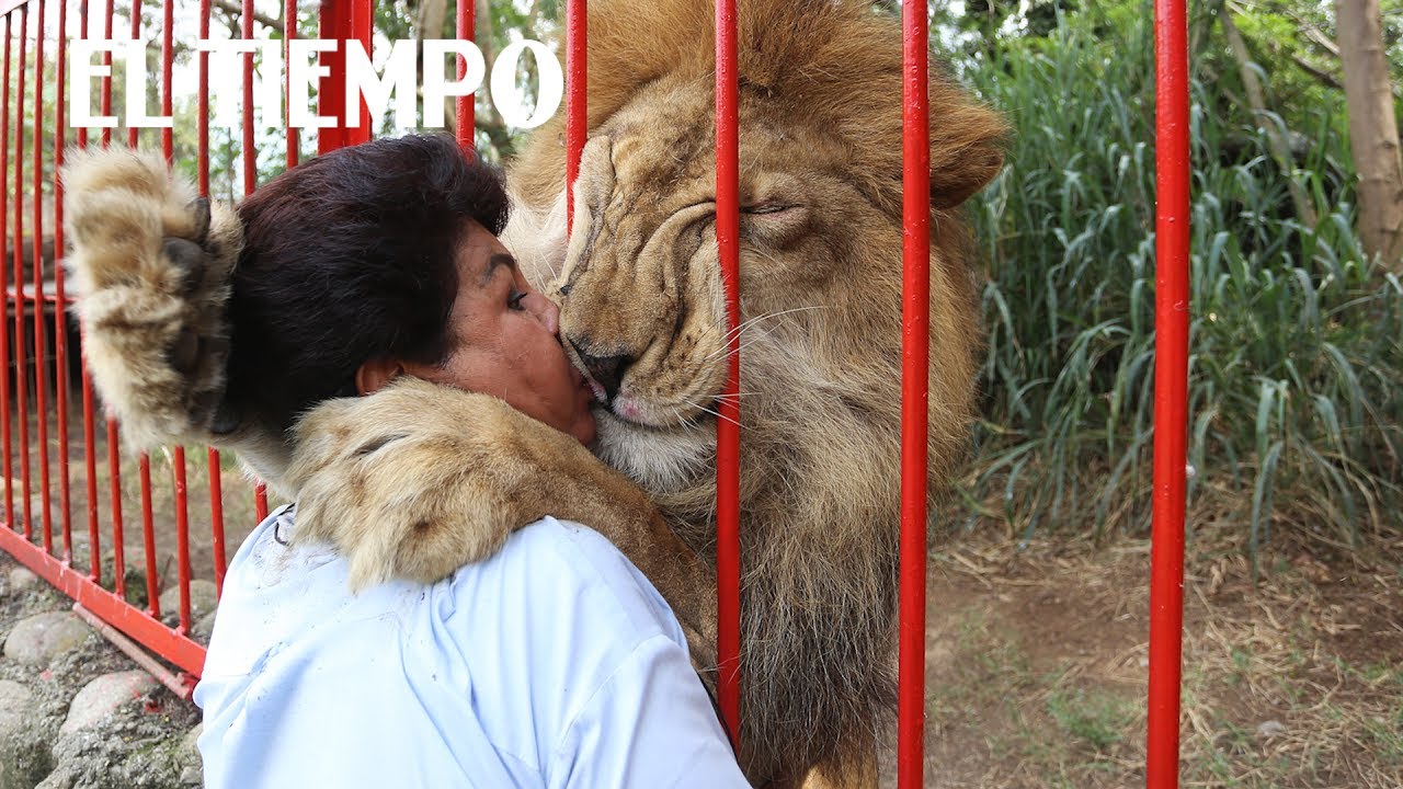 Los días contados del refugio de animales en el norte de Cali| EL TIEMPO