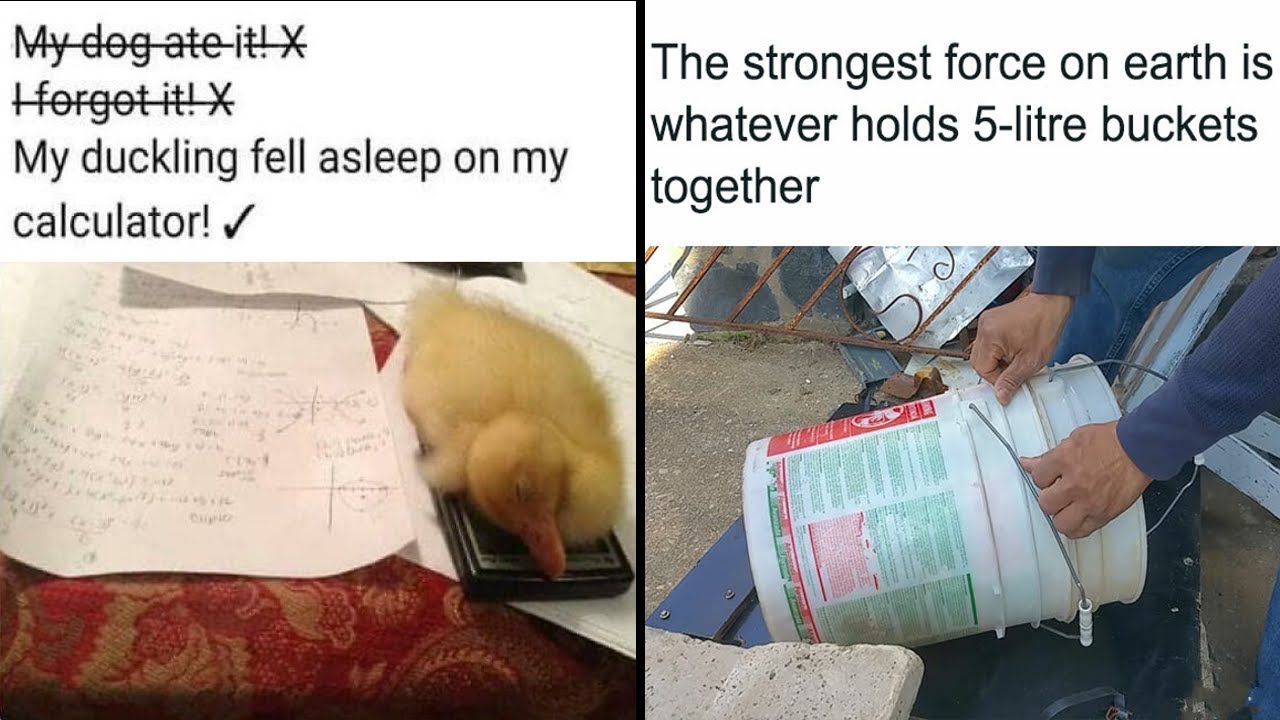 Clever Science Memes That Have Been Scientifically Proven To Cause Laughter