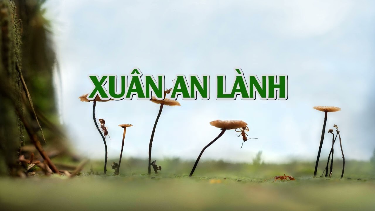 XUÂN AN LÀNH - (Beat) - Nhạc Xuân Tin Lành