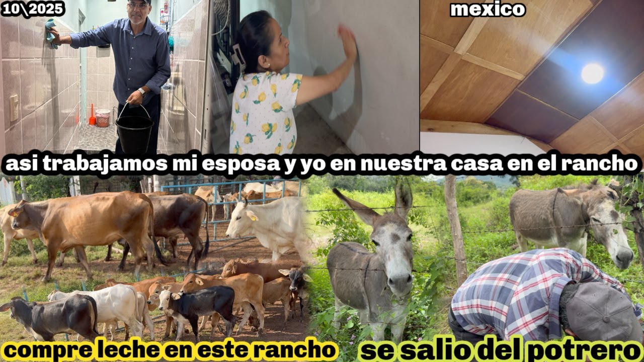 ASIENDO LIMPIEZA EN LA CASA DEL RANCHO| MI ESPOSA SE PUSO TRISTE PORQUE atropellaron a alguien⁉️