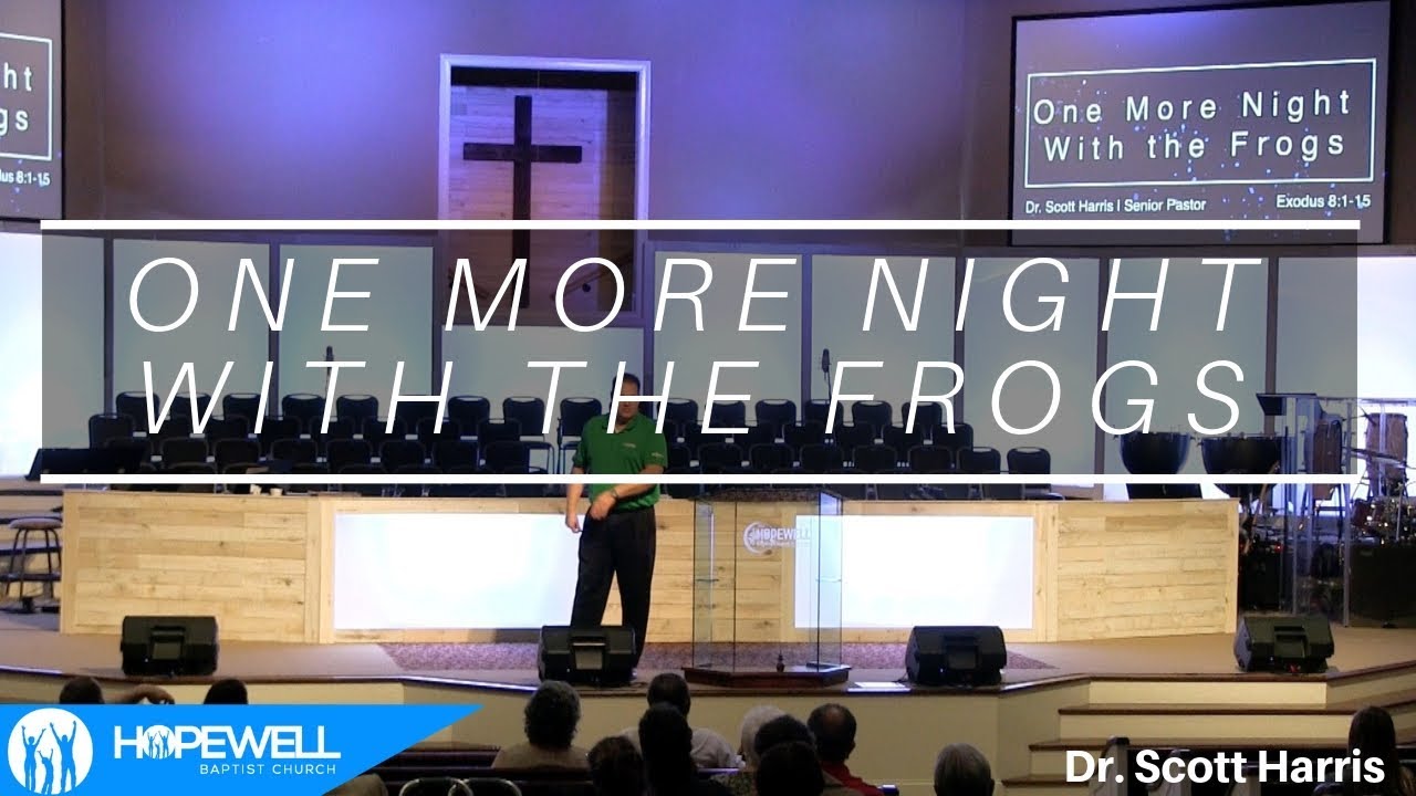 One More Night With the Frogs