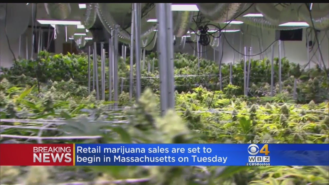 Pot Shops To Start Selling Recreational Marijuana In Mass. On Tuesday
