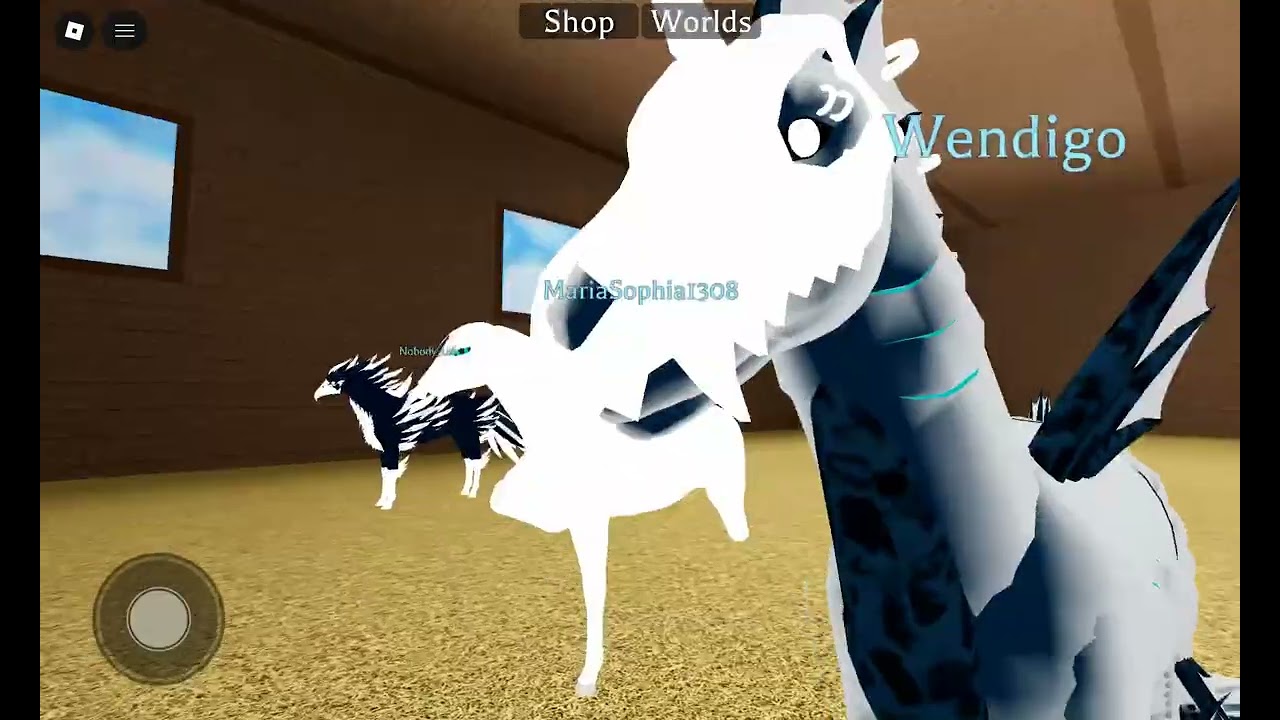Roblox video I will accept mic in the next video 