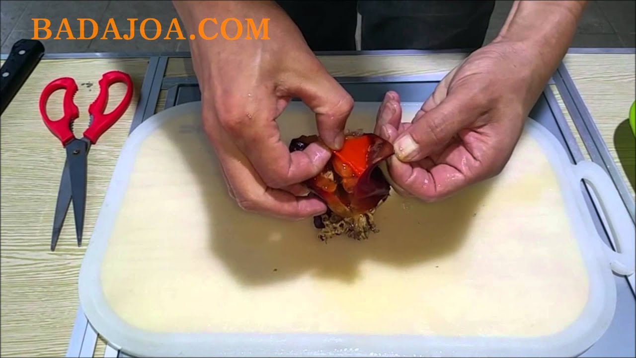 비단멍게 / 멍게손질법 / 비단멍게 손질법 / 멍게회 만드는법 / 자연산 멍게 손질 방법 - 동해안 아야진 조개 직판장 바다조아 전국배송