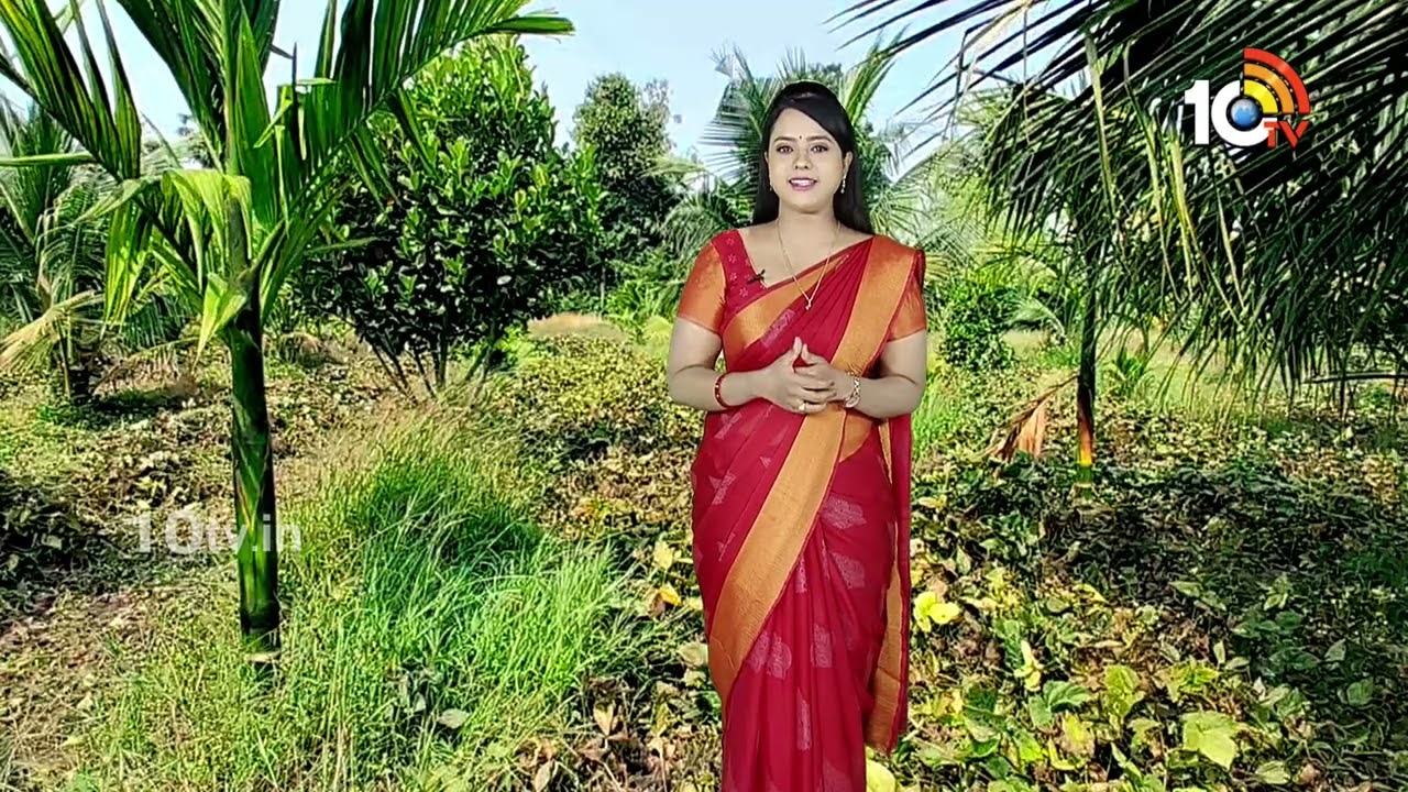 Matti Manishi Full Episode | మట్టి మనిషి | Agriculture Tips | 12-03-2026 | 10TVAgri