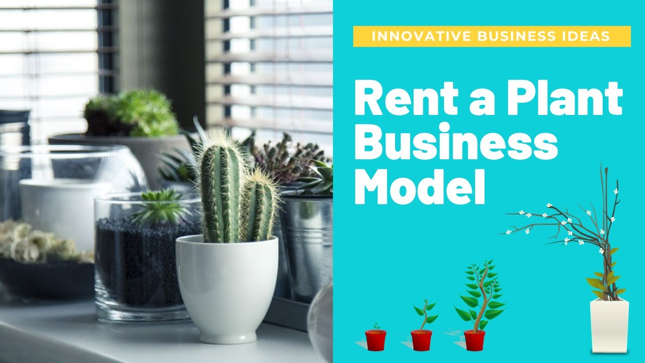 Rent a Plant Business Model | Indoor Plant Business| Nursery Business | Startups | #Innovatideas