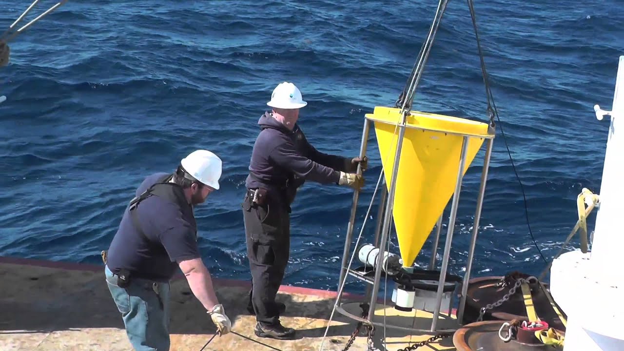 ECOGIG Marine Snow