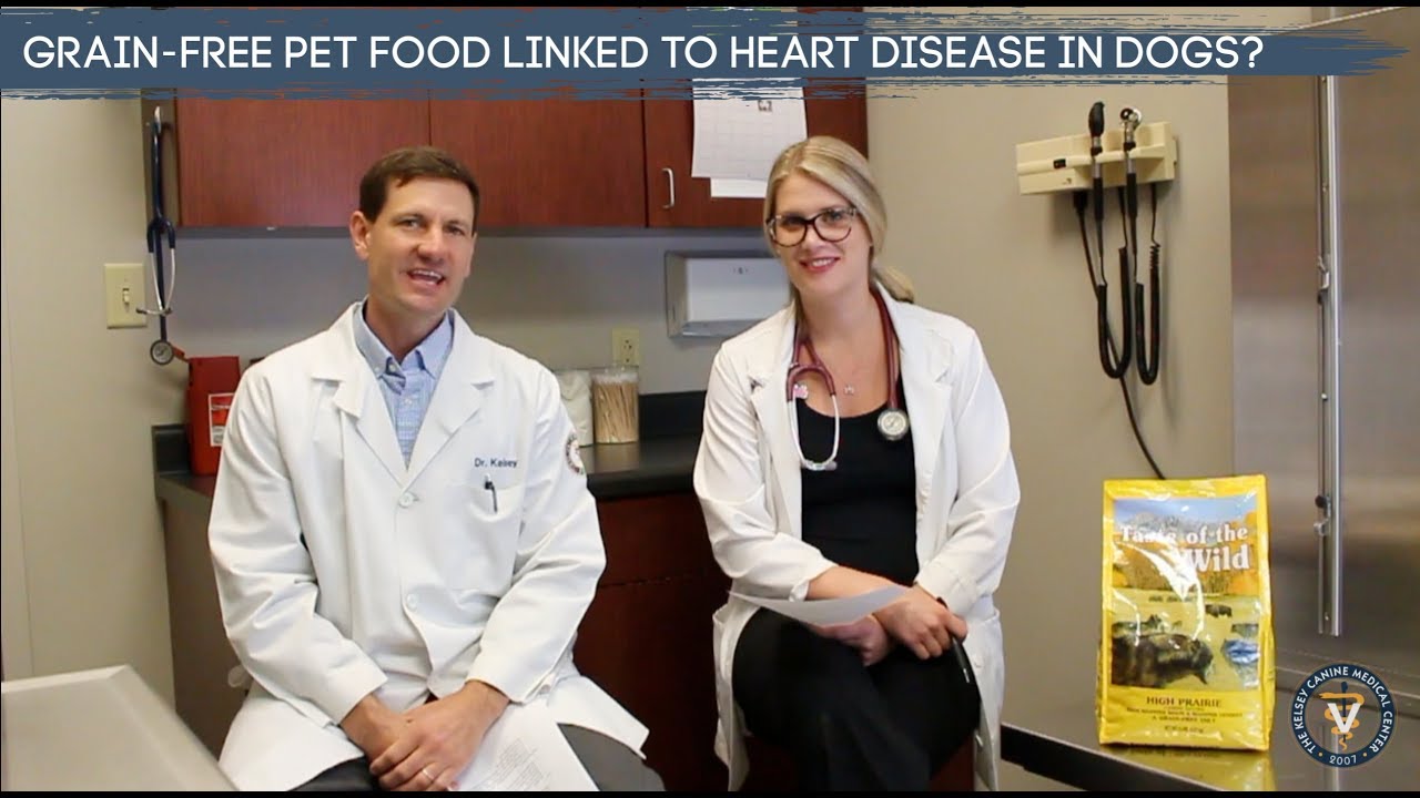 Grain Free Dog Food Linked To Heart Disease?
